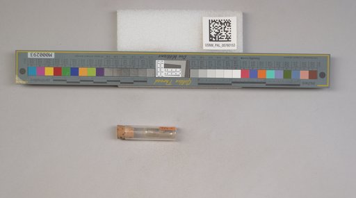 NSF ADBC EPICC TCN