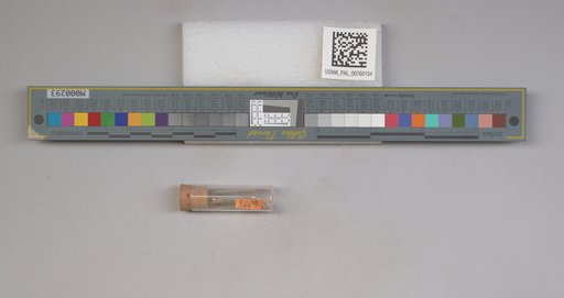 NSF ADBC EPICC TCN