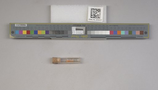 NSF ADBC EPICC TCN