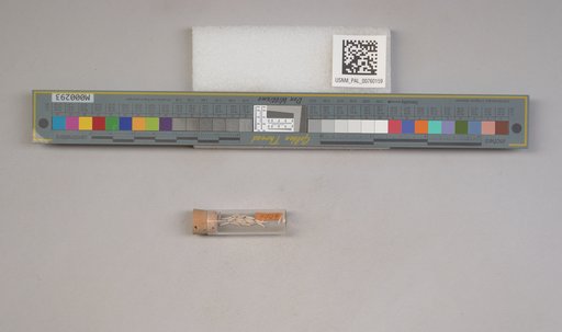 NSF ADBC EPICC TCN