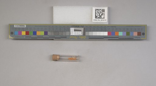 NSF ADBC EPICC TCN