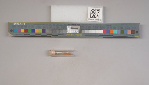 NSF ADBC EPICC TCN