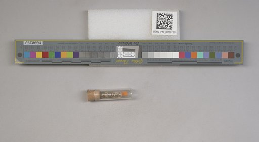 NSF ADBC EPICC TCN