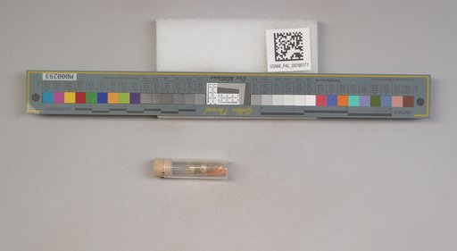 NSF ADBC EPICC TCN