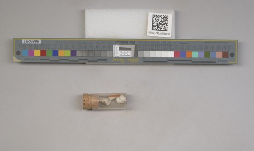 NSF ADBC EPICC TCN