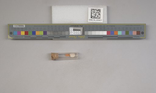 NSF ADBC EPICC TCN