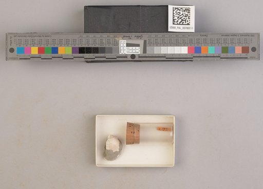 NSF ADBC EPICC TCN