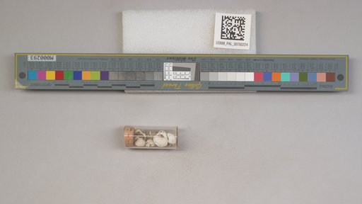 NSF ADBC EPICC TCN