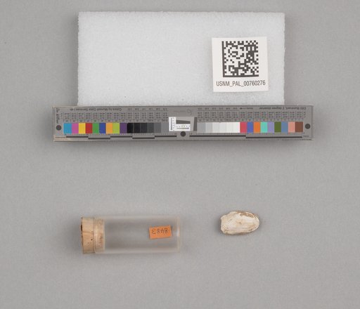 NSF ADBC EPICC TCN