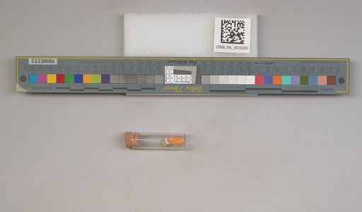 NSF ADBC EPICC TCN