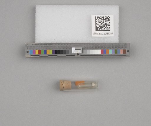 NSF ADBC EPICC TCN