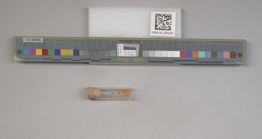 NSF ADBC EPICC TCN