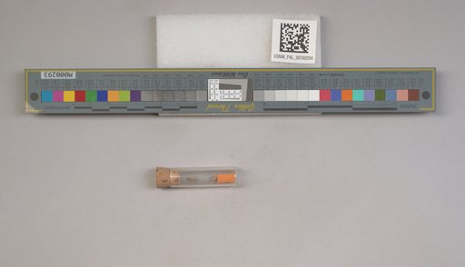 NSF ADBC EPICC TCN