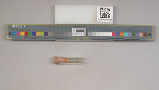 NSF ADBC EPICC TCN