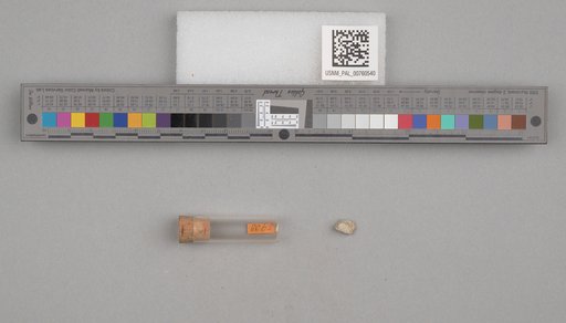 NSF ADBC EPICC TCN