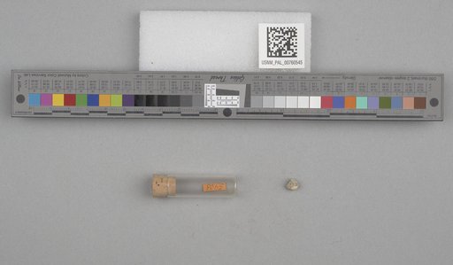 NSF ADBC EPICC TCN