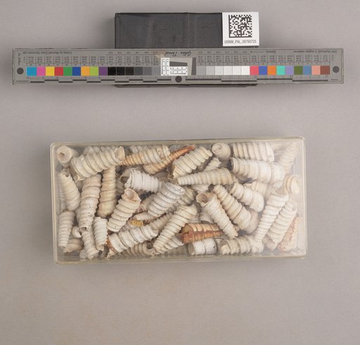 NSF ADBC EPICC TCN