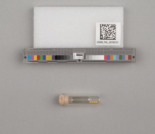NSF ADBC EPICC TCN