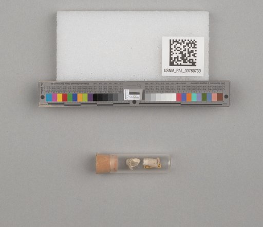 NSF ADBC EPICC TCN