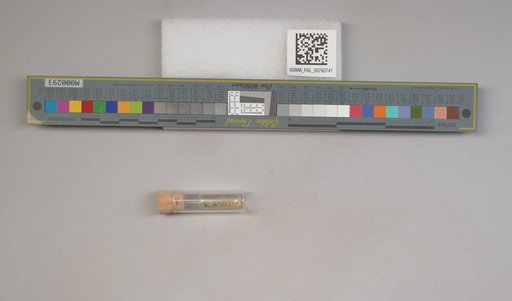 NSF ADBC EPICC TCN