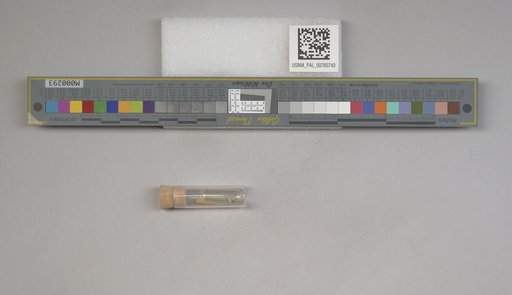 NSF ADBC EPICC TCN