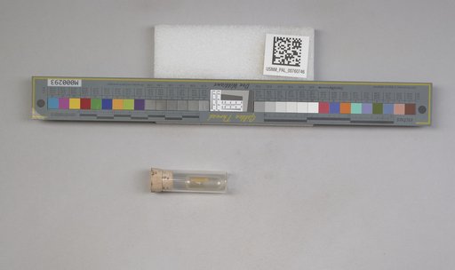 NSF ADBC EPICC TCN