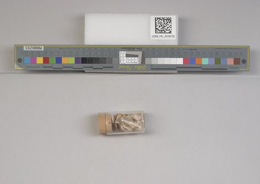 NSF ADBC EPICC TCN