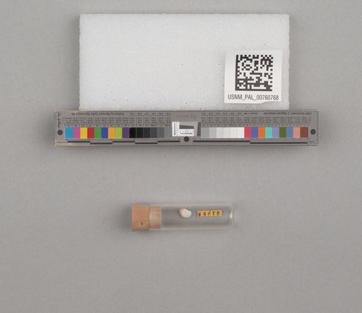NSF ADBC EPICC TCN