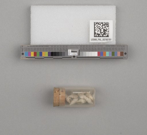 NSF ADBC EPICC TCN