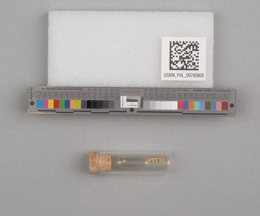 NSF ADBC EPICC TCN
