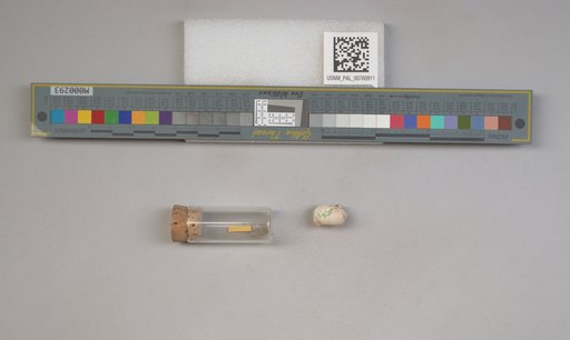 NSF ADBC EPICC TCN