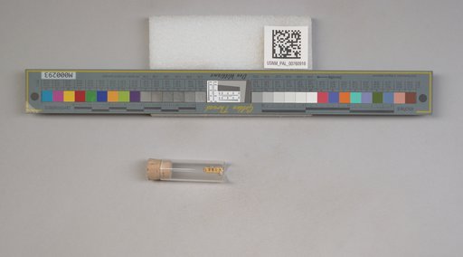 NSF ADBC EPICC TCN