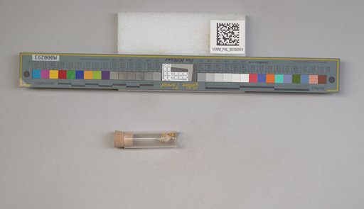 NSF ADBC EPICC TCN