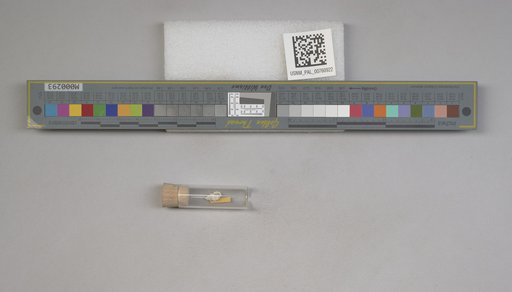 NSF ADBC EPICC TCN