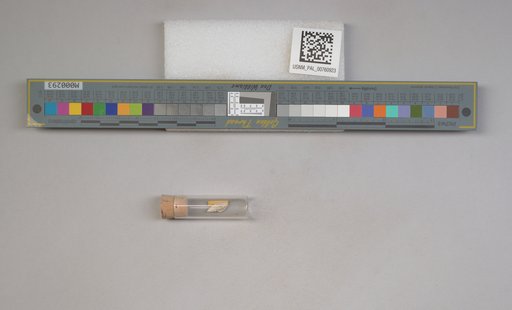 NSF ADBC EPICC TCN