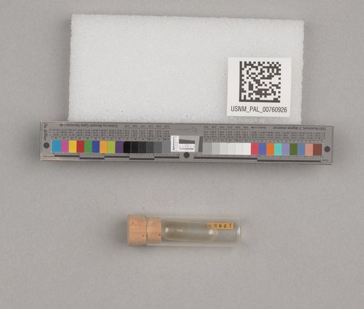 NSF ADBC EPICC TCN