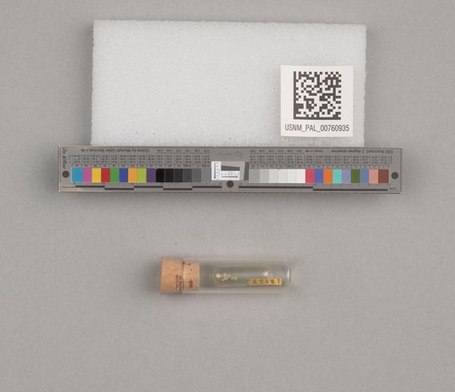 NSF ADBC EPICC TCN