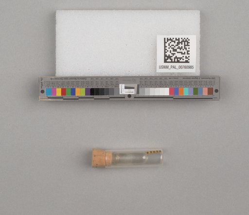 NSF ADBC EPICC TCN