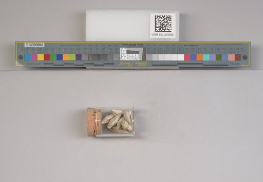NSF ADBC EPICC TCN