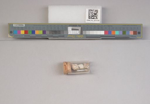 NSF ADBC EPICC TCN