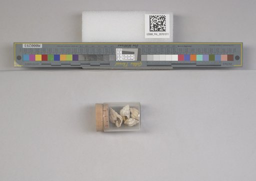 NSF ADBC EPICC TCN