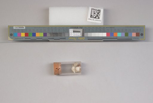 NSF ADBC EPICC TCN