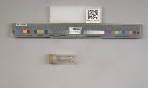 NSF ADBC EPICC TCN
