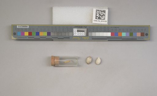 NSF ADBC EPICC TCN