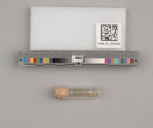 NSF ADBC EPICC TCN