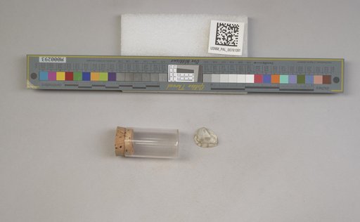 NSF ADBC EPICC TCN