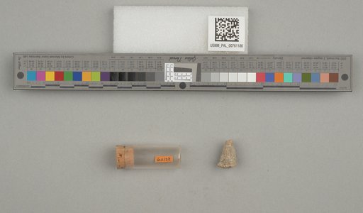 NSF ADBC EPICC TCN
