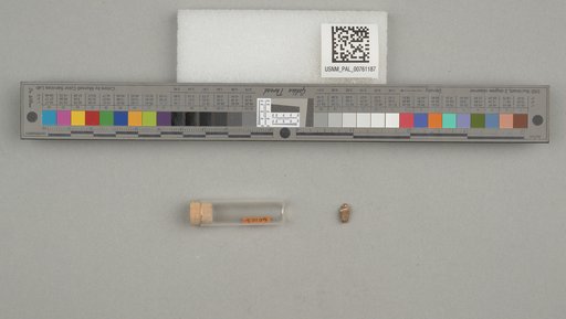 NSF ADBC EPICC TCN