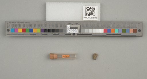 NSF ADBC EPICC TCN