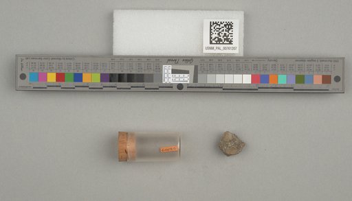 NSF ADBC EPICC TCN